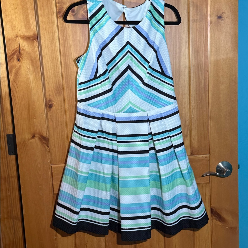 Danny & Nicole Blue and White Pleated Fit and Flare Dress